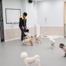 옐레드 문래역점 이미지