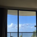 퀸's 시크릿 노래연습장 | 오아후 섬 투어🦖🏝️(쿠알로아랜치, 쉐라톤 와이키키,킼인케이준,다이아몬드헤드,하와이젤리캣, 와이키키...