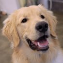 개미용실 이미지