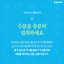 식탐 하이닥