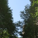 관악산현대홈타운 이미지