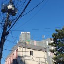 벌꿀모텔 이미지