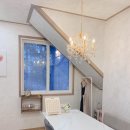 준플라워 이미지