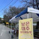 보은대추말티재농장