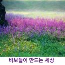 만드는세상 - 포항시 북구 기동지길263번길 59 | 만드는세상