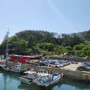 궁농항 | 궁농항에서 저도 청해대 탐방 후기