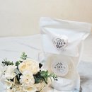 오늘도멍냥 이미지