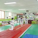 경희대 대성 태권도장 이미지