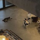 온니윤스터디희망학원 | [합격수기] 2026년 9급 관세직 공무원 최종 합격 수기 | 면접편