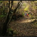 대티골계곡 이미지