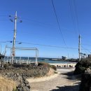 해맞이승마클럽 | 동쪽 구좌 여행코스 _ 아톰스낵, 비밀의 숲, 승마체험, 여유로이 / 제주감성카페, 구좌카페, 구좌맛집