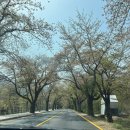 돌섬수산 | 속초 여행 2박 3일 코스 1일차 설악케이블카 영금정 돌섬대게횟집 등대해수욕장
