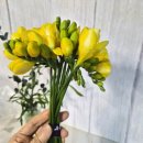 터미널시장 | 강남고속터미널 꽃시장 다녀온 후기 가성비 꽃 쇼핑 천국 고터 꽃시장 가격 대비 꽃 고르는 꿀팁 추천...