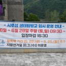 시루섬 | 단양 시루섬 출렁다리 생태탐방교 개통일 주차 이끼터널 주말 방문 후기