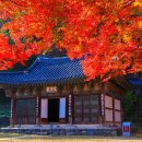 마곡사 주차장2 이미지