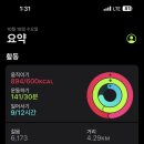 오늘운동 이미지