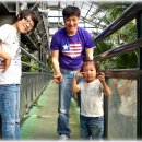 태현이네 이미지