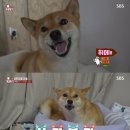 기복농장 이미지