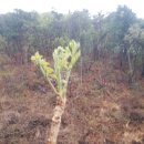 안말농장 이미지