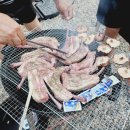 밸런스독 이미지