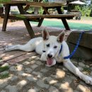 무봉농장 이미지