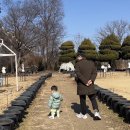 태신목장 | 아기랑 국내여행으로 딱! 아그로랜드 태신목장 농장체험 후기