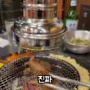 신갈매기