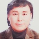 희당한의원 Daum카페