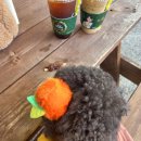 펫츠베이 양산증산점 이미지