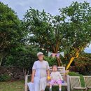 스테이비갠오후 이미지