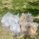 살람 아제르바이잔어 첫걸음 | [1차:후기] 마곡 서울식물원 야외요가 원데이 클래스 진행 및 참여자 후기 🌿