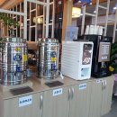 장수버섯 이미지