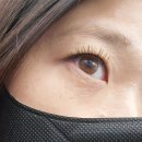 멍블링 | 상동 속눈썹 해이블링 C컬 연장 솔직후기