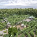 더 세리 호스텔 이미지