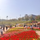 성덕세천 이미지