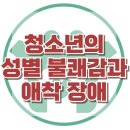 [청소년의 성별 불쾌감과 애착 장애] 혼란형 애착, 성정체성, 아동 상담, 청소년 상담, 강남사회성센터, 한국아동청소년심리상담센터 이미지