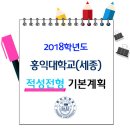 2018 홍익대 세종캠퍼스 적성고사 전형 계획 이미지