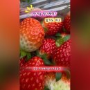 당포농장 이미지