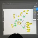 넵플러스 | [넵플러스 아카데미] 나무쌤의 이모티콘 만들기 마지막 강의 후기