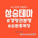 (주)에스와이 소프트 이미지