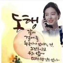 하나세탁소 티스토리