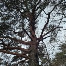 명당(함양점) | 함양오르GO 제2코스 삼정산 정상 정복 주말 산행 여행 후기