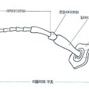 2.1.4.1 감각이 집중된 머리 _ 더듬이와 더듬이구조 이미지