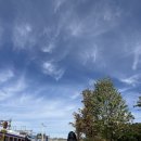 연못이 있는 풍경 | 춘천 김유정역 레일바이크, 친절함 굿 “연못이 있는 풍경” 완벽한 바베큐 펜션, 아침고요수목원에서...