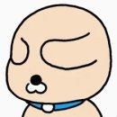 부산잔치국수 이미지
