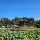 일원본-110 이미지