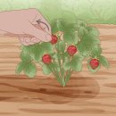 가정1-04-056 이미지