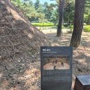 서울암사동유적 | 5세 아이와 서울암사동유적 나들이 선사시대 체험부터 박물관, 시원한 음료까지 만족했던 하루