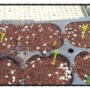 신가네농장 이미지