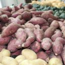 효창농장 이미지